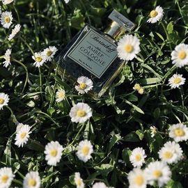 Amber Cologne - Bortnikoff