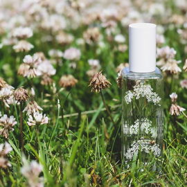 Nettle & Wild Achillea - Jo Malone