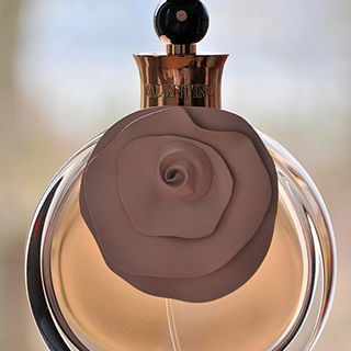 Valentina Assoluto - Valentino