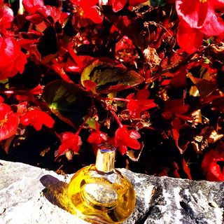 Parfum d'Hermès (Eau de Toilette) by Hermès