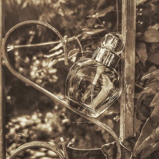 Für Fresh- verwunschener vintage Märchen Garten mit Eve