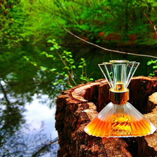 💦 Die Kühle des Wassers im Wald genießen 🌳 Herzlichen Dank für Eure schönen Besuche 🧡