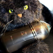 Mein ostasthmatischer Staubperser hat sich Pasha Ed. noire von Cartier geangelt! (by TomLavender)