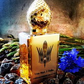 Würzig warmer Wildblumenduft - in Doha bei Nacht (by Voula)