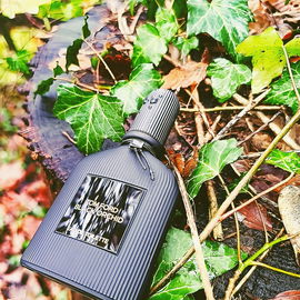 Black Orchid (2015) (Eau de Toilette) - Tom Ford