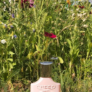 Spring Flower (2023) by Creed