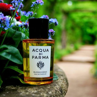 Buongiorno - Acqua di Parma