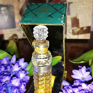 Vecher / Вечер - Nóvaya Zaryá