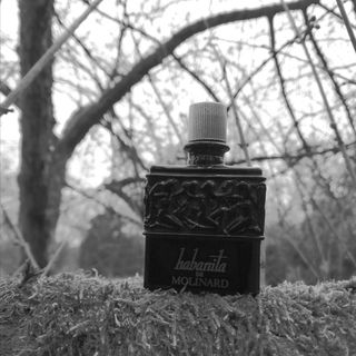 Habanita (2012) (Eau de Toilette) von Molinard
