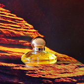 🧡 Herzlichen Dank für Eure Besuche auf dem goldenen Lavaberg 🧡 (von MadameLegras)