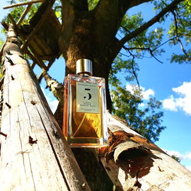 5 - Floral, Amber, Sensual Musk (Eau de Parfum) - Rosendo Mateu - Olfactive Expressions
