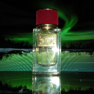 Velvet Desire - Dolce & Gabbana