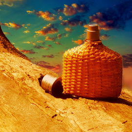 In a desert (with a horse with no name, lalalala)