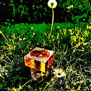 Zen Moon Essence von Shiseido