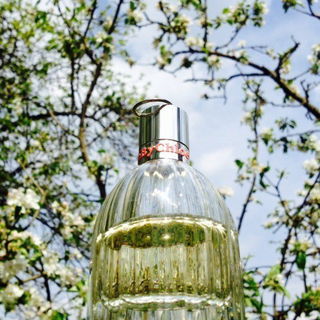 SeeByChloé - Chloé