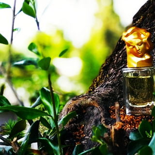 Eau du Soir by Sisley