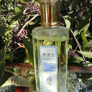 English Lavender / Senteur Lavande Anglaise / Old English Lavender (1873) (Perfume) by Yardley