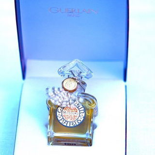 Notte Bianca - Linari