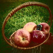 Nur für Schneewittchen gefährlich;). (by Zora)