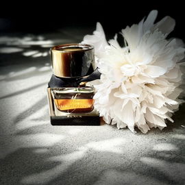 My Burberry Black (Parfum) - Burberry