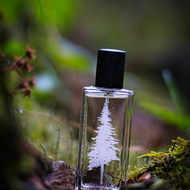 Im heimischen Mischwald - wie immer ein großer Dank an euch für eure lieben Worte