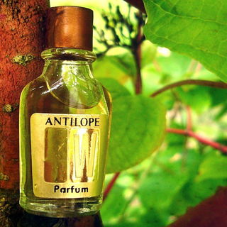 Antilope (Parfum) - Weil