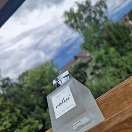 The One for Men (Eau de Parfum) - Dolce & Gabbana