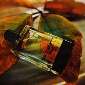 ..... ein Mini - ganz wild auf Wein ;)) .... (wilder  Wein im Herbstkleid) .... (von IrisNobile)