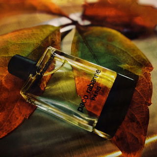 ..... ein Mini - ganz wild auf Wein ;)) .... (wilder  Wein im Herbstkleid) ....