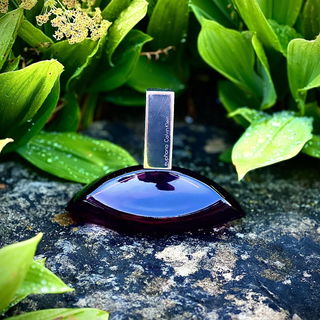 Euphoria (Eau de Parfum)