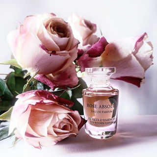 🌹🥀 Rosen mit ihrem unwiderstehlichen Duft in voller Blüte 🥀🌹 Lieben Dank für Eure Blicke und Worte 🥰