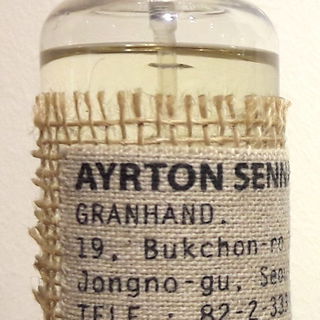 Ayrton Senna von Granhand