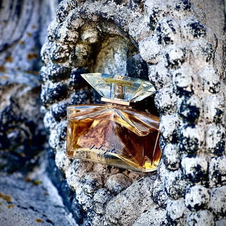 Volupté in Love - Pereja