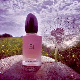 Sì (Fiori Eau de Parfum) - Giorgio Armani