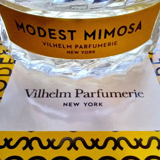 Modest Mimosa - Vilhelm Parfumerie