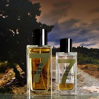 Eau de Iceberg 74 Amber von Iceberg