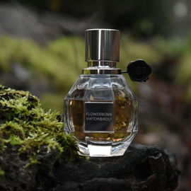 Acqua di Gioia (Eau de Parfum) - Giorgio Armani