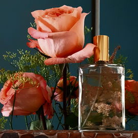 Gold (Eau de Toilette) - Yardley