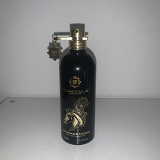 Arabians Tonka von Montale