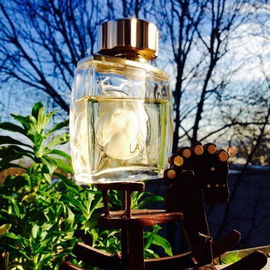Lalique pour Homme Equus (Eau de Toilette) - Lalique