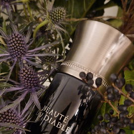 Beauté du Diable - Liquides Imaginaires