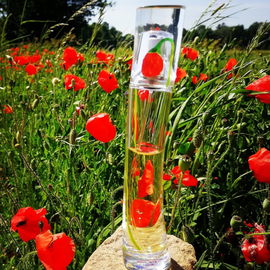 Vom Winde verweht, die poppies.