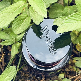 Elixir des Merveilles - Hermès