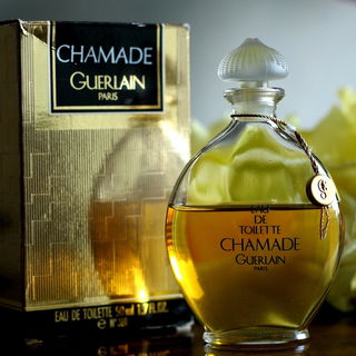 Chamade (Eau de Toilette) von Guerlain