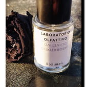 #Eisbrecher# (von Seejungfrau)