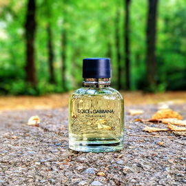Dolce & Gabbana pour Homme (2012) (Eau de Toilette) - Dolce & Gabbana
