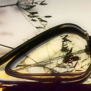 Zum 1.November ein Bild mit der passenden Tristesse