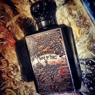 Harem Rose - Fort & Manlé