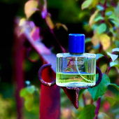 …📷🌍 Thank you. Danke schön. Merci beaucoup. Muchas gracias. Dōmo arigatō gozaimasu 💐… (by Kokusai)