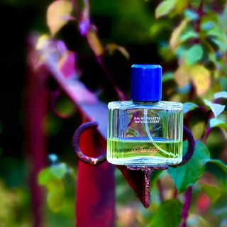 …📷🌍 Thank you. Danke schön. Merci beaucoup. Muchas gracias. Dōmo arigatō gozaimasu 💐…